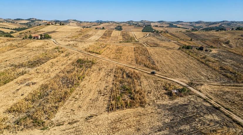 Paesaggio agricolo piemontese in siccità, campi secchi e suolo crepato che evidenzia la crisi idrica in Italia.