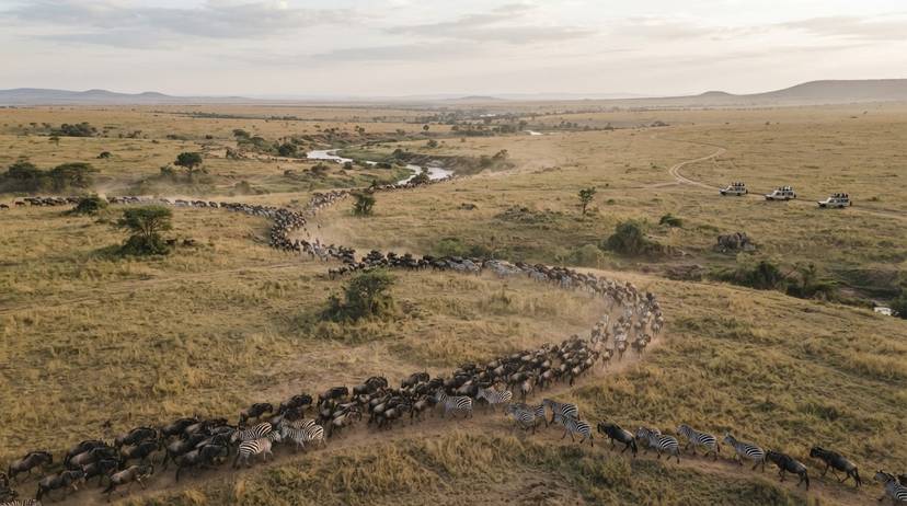 Utalii endelevu Tanzania unalinda wanyamapori na kuleta mapato ya uhifadhi